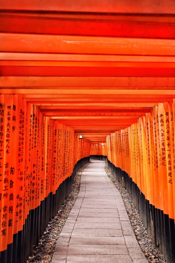 torii fushimi inari taisha